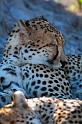 20090618_101946 D300 X1